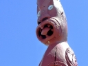 whangarei (21)